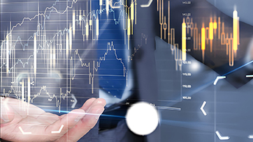 Sectors and Expertise